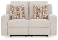 Danum Reclining Loveseat